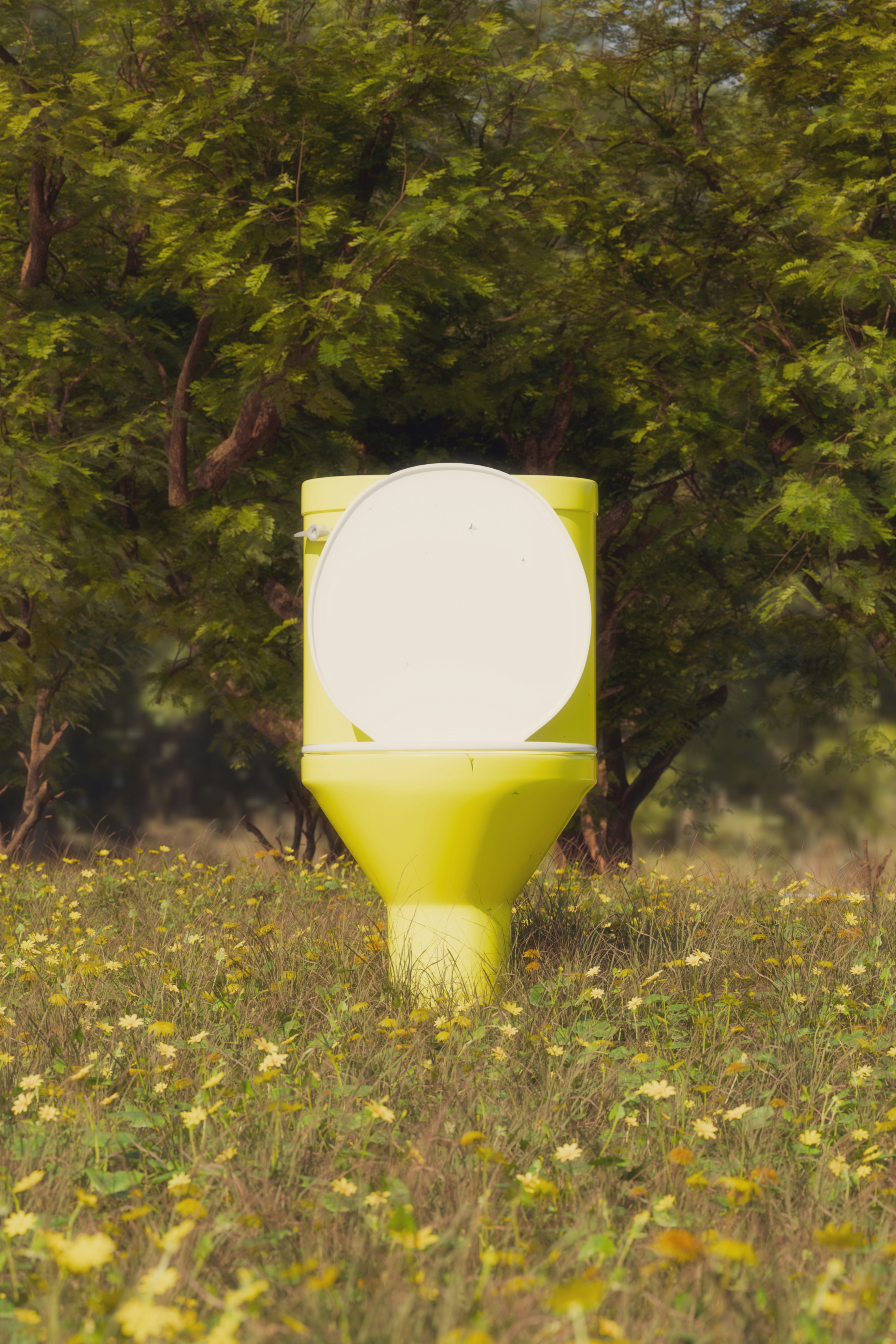 décorer-ses-toilettes