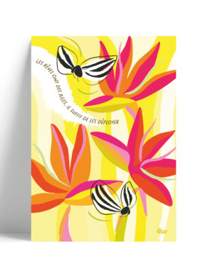 affiche-colorée-oiseau-du-paradis