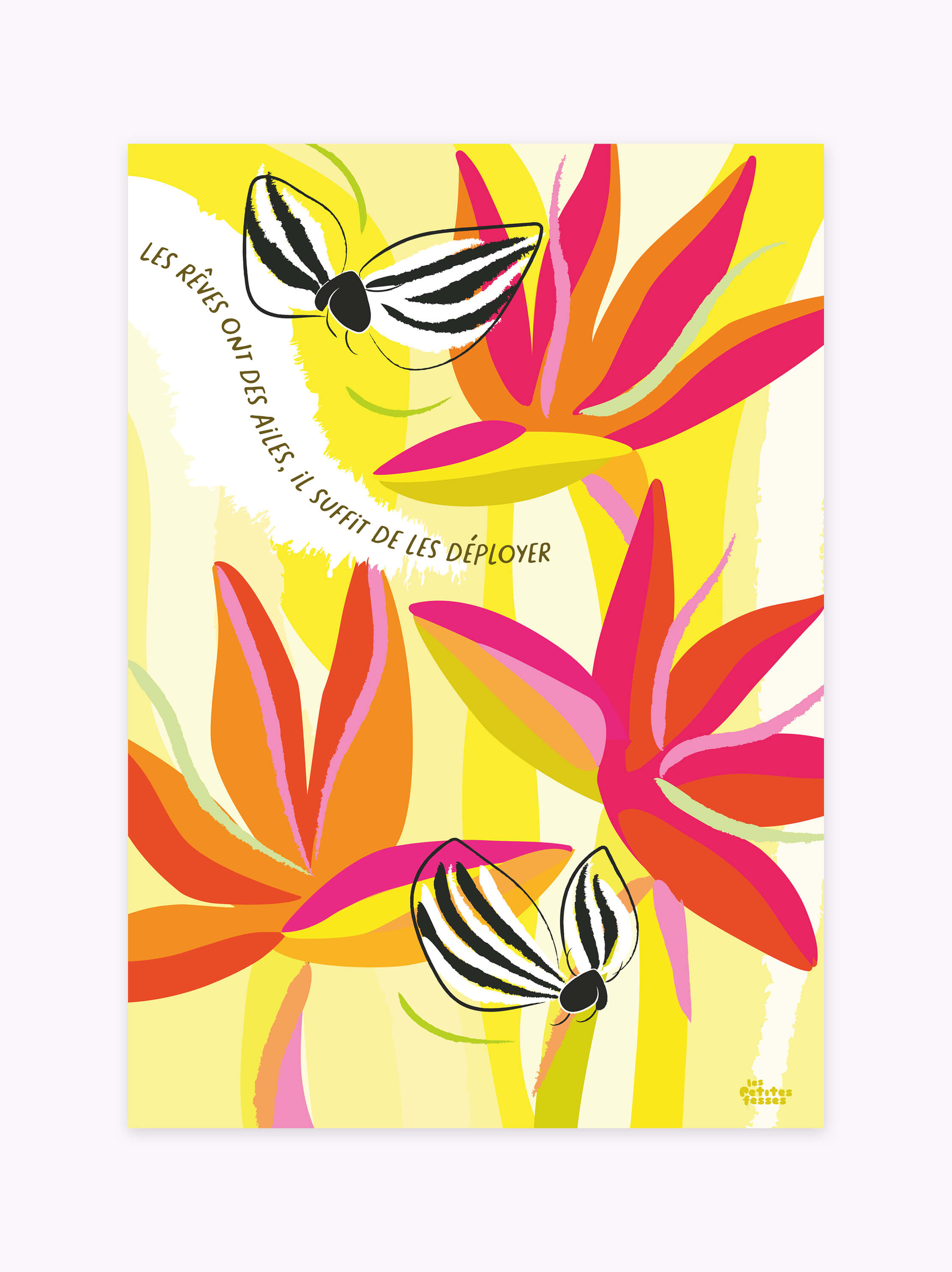affiche-oiseau-du-paradis