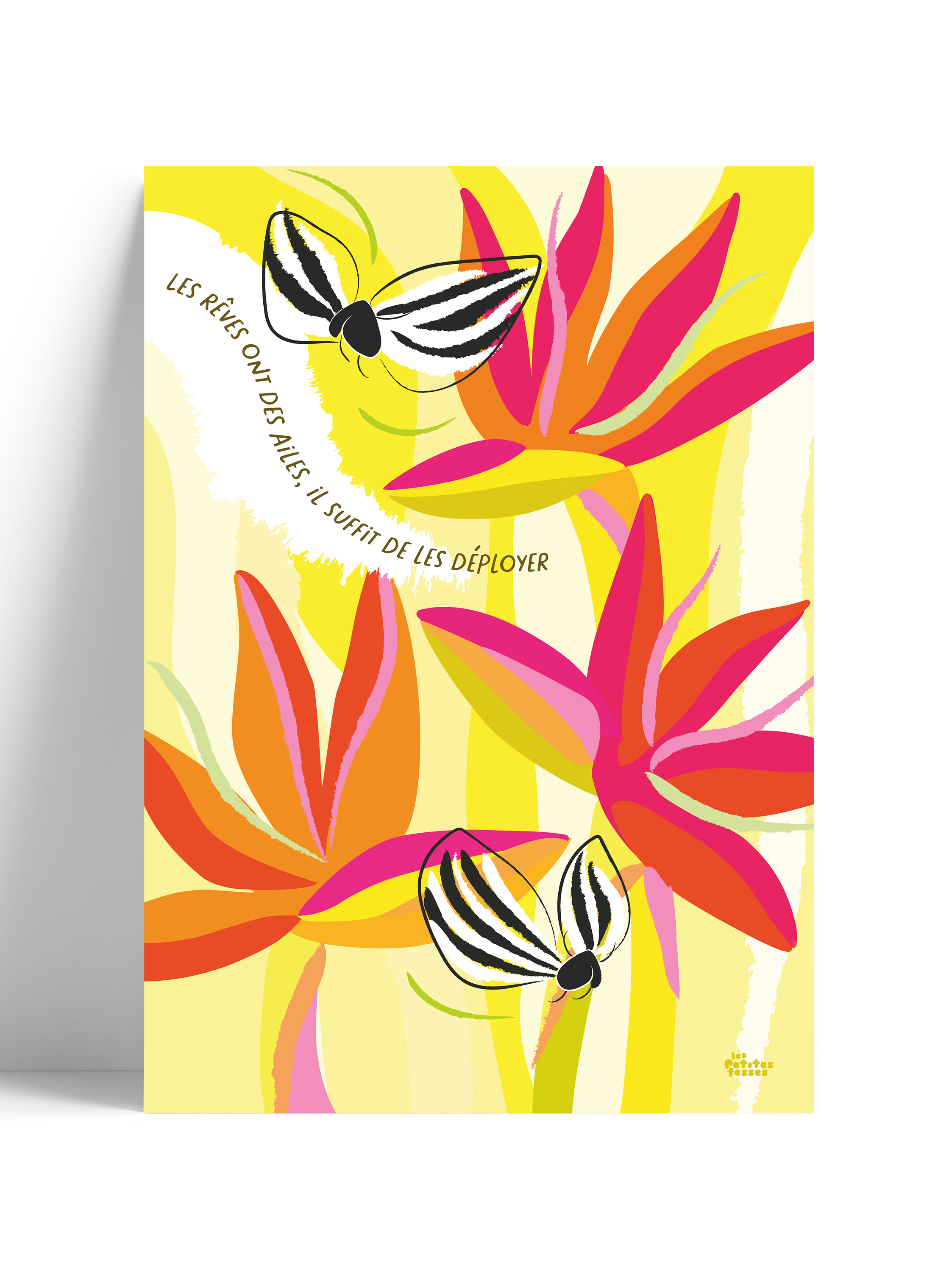 affiche-colorée-oiseau-du-paradis
